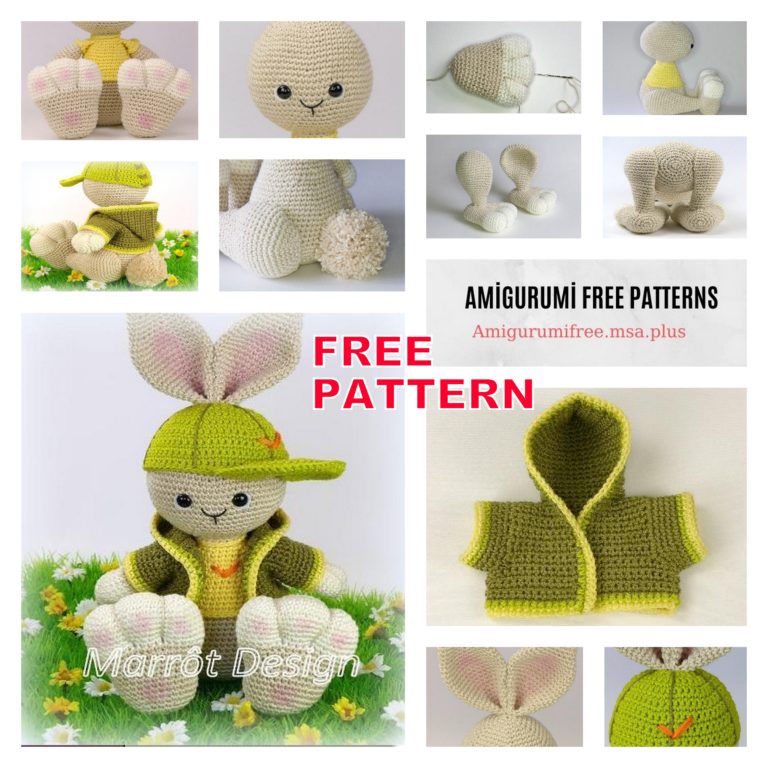 Bunny with Amigurumi Hat Free Crochet Pattern