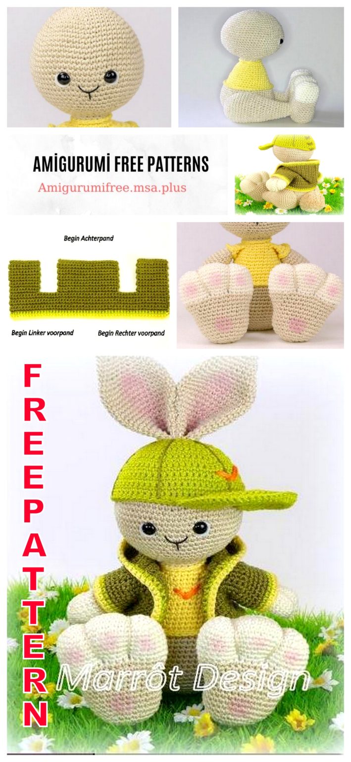 Bunny with Amigurumi Hat Free Crochet Pattern – Amigurumi Free Patterns